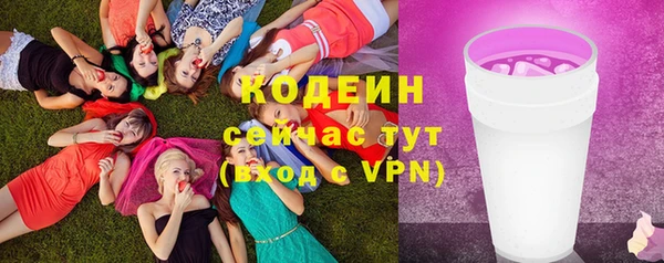 таблы Бородино