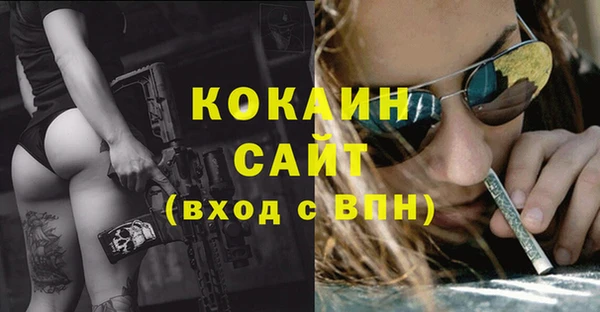 таблы Бородино
