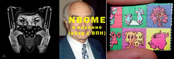 шишки Верея