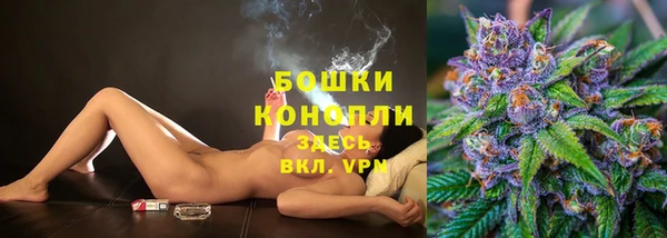 шишки Верея