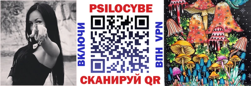 Купить закладки  Николаевск-на-Амуре  Псилоцибиновые грибы Psilocybine cubensis 